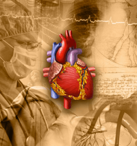 Credit: University of Southern California 