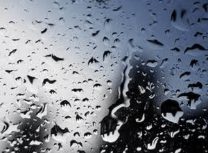 Screen Shot 2013-11-20 at 4.29.34 AM