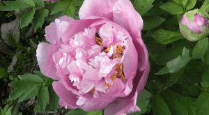 Screen Shot 2014-10-02 at 9.34.45 AM