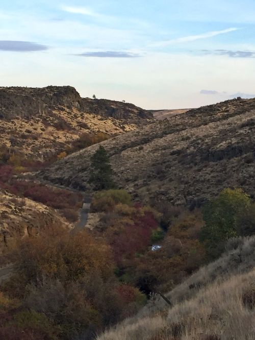 Cowiche Canyon, Yakima, WA