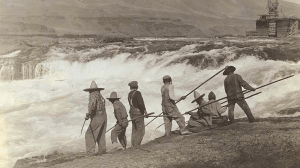 Yakama Nations Fisheries Project